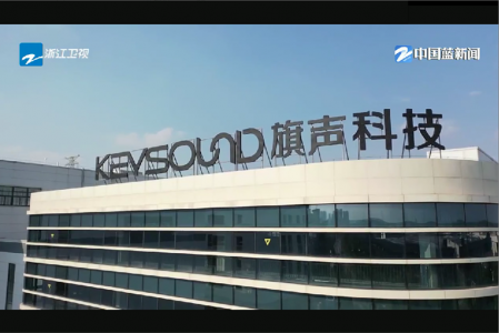 浙江衛視 中國藍觀察-三季度經濟調研行之旗聲科技專訪